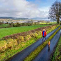 A woman walking a dog along a quiet country lane