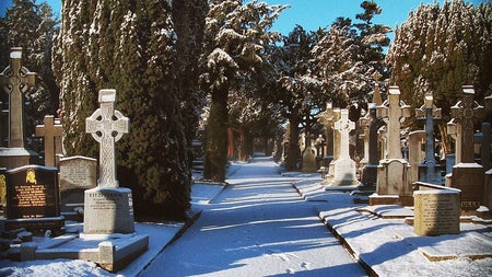 Pathway in Glasnevin during winter snow.