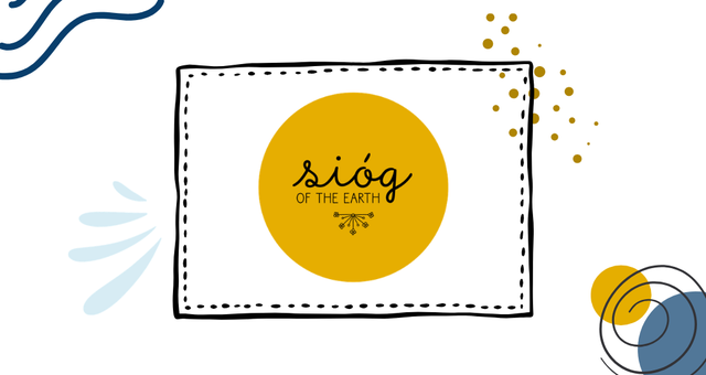 Sióg: Foraging, Wild Foods & Herbal Extraction Workshop, Morning
