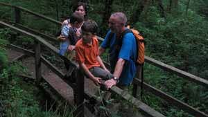 Walking in the Glen of Aherlow