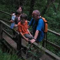 Walking in the Glen of Aherlow