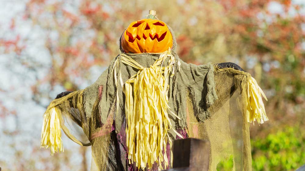 Scarecrow in the gardens scaring away the spirits