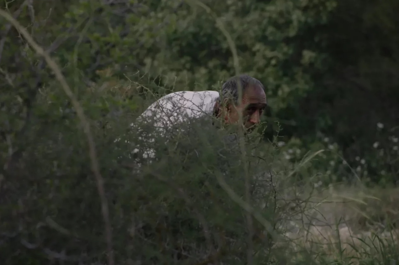 Darkly lit undergrowth with glimpse of man crouched down, partially hidden from view.