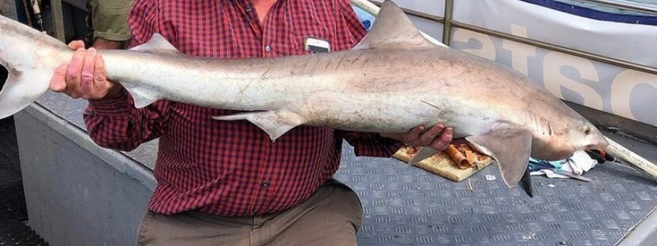 Man holding a swordfish