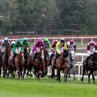 December Hurdle Day .