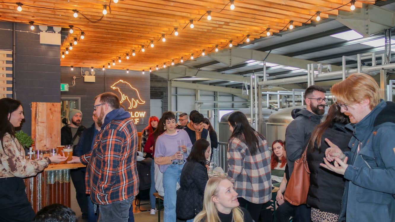 People enjoying a guided tour and beer tasting at Wicklow Wolf Brewery & Taproom