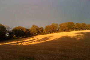 Ballymurrin Quaker Farmstead