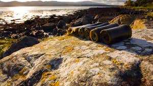 Image of seaweed on rocks