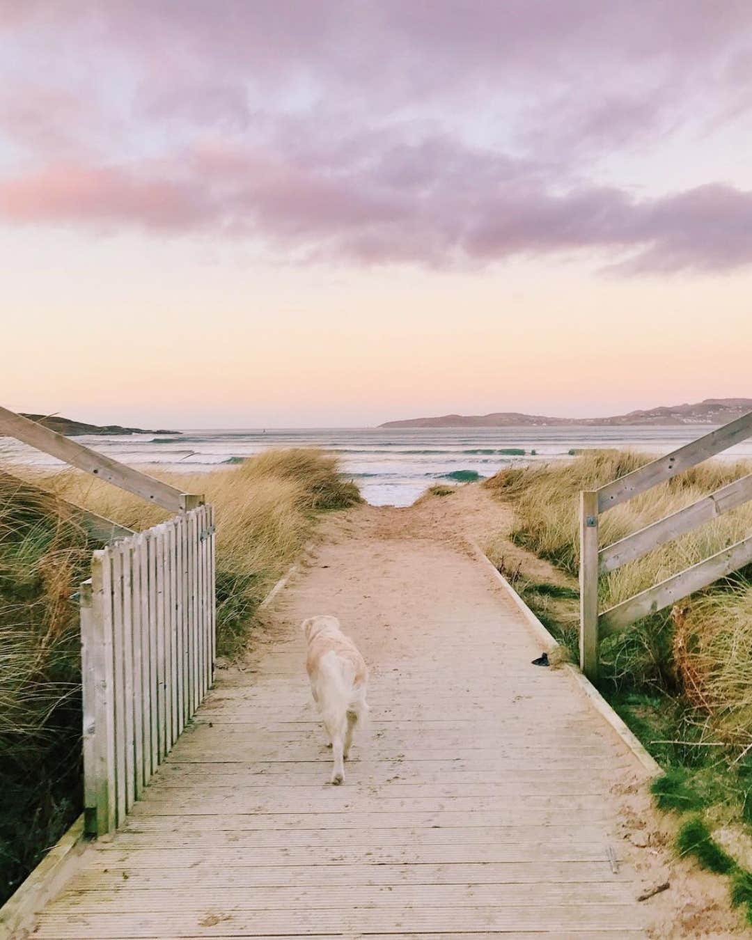 Cuan Na Rí boardwalk sunset