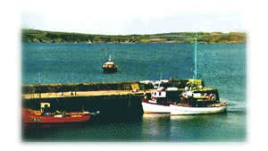 Sherkin Island Ferry