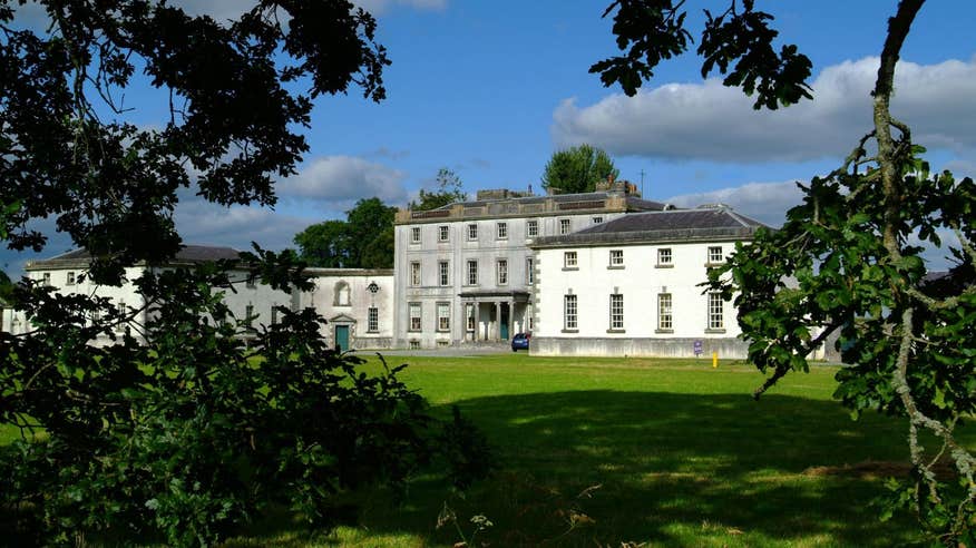 Trees in front of Strokestown House, County Roscommon