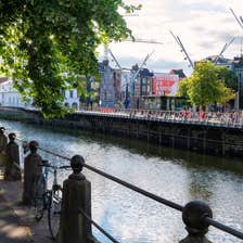 A tree overhanging the River Lee, County Cork