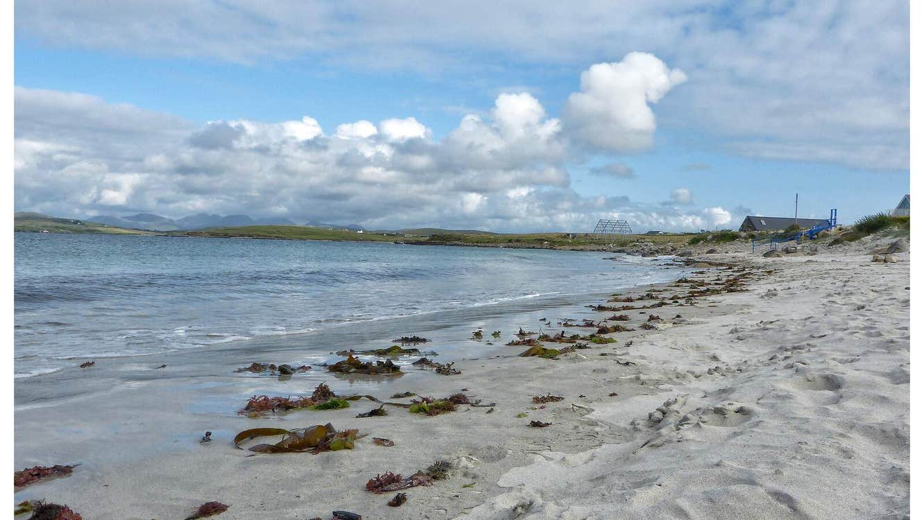Sand with seaweed and water with a cloudy sky