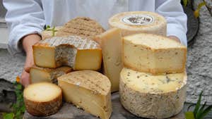 Image of variety of cheese for sale