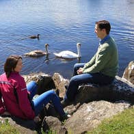 Two people sitting on rocks beside water with swans beside them