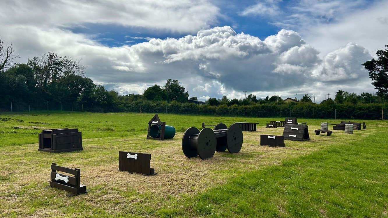 Obstacles in a field for dogs to jump and play