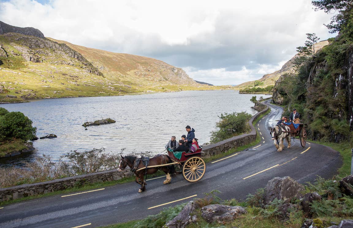 Two pony and carts filled with people travelling along a road in Killarney National Park in County Kerry.