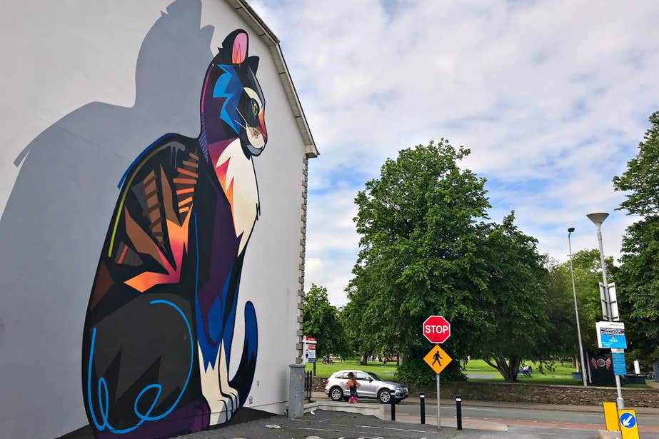 Street art in Waterford city.
