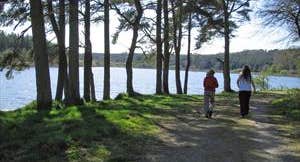 Bailieborough Castle Lake Loop (PJ's Way)