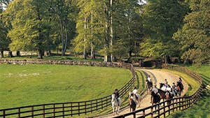 Ravensdale Lodge, Equestrian & Trekking Centre
