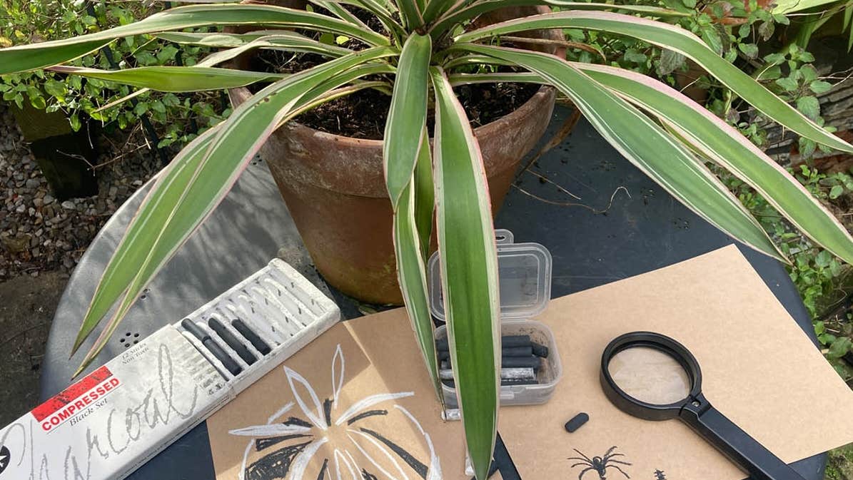 Drawing for Families: Garden Exploration through Drawing