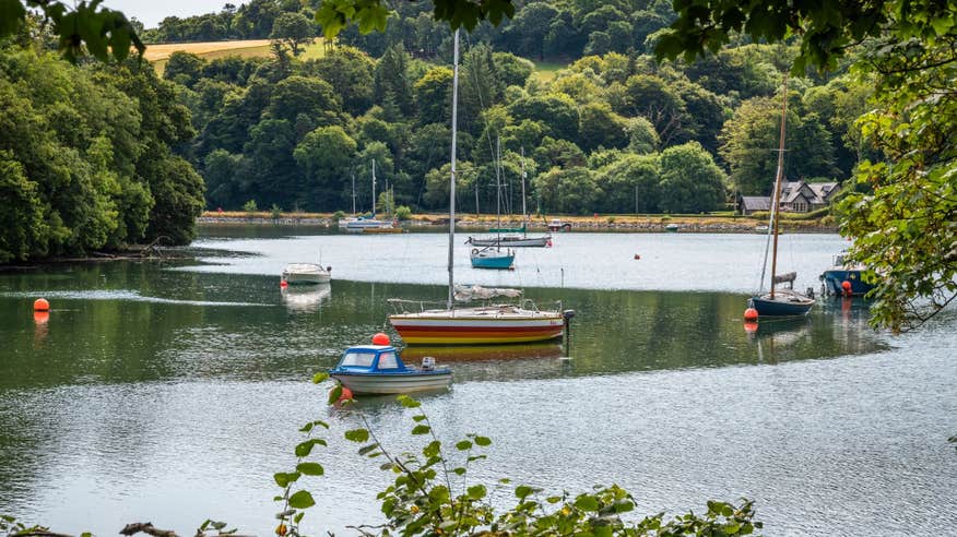 Views of trees and boats bobbing in the still waters along the Carrigaline Crosshaven walk