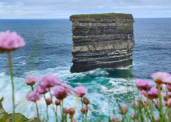 Cliffside view of a sea stack and pink flowers with Anam Croí Ireland Tours
