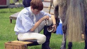 Galway Equestrian Centre