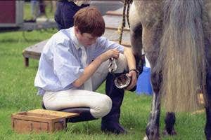 Galway Equestrian Centre, Athenry, Galway