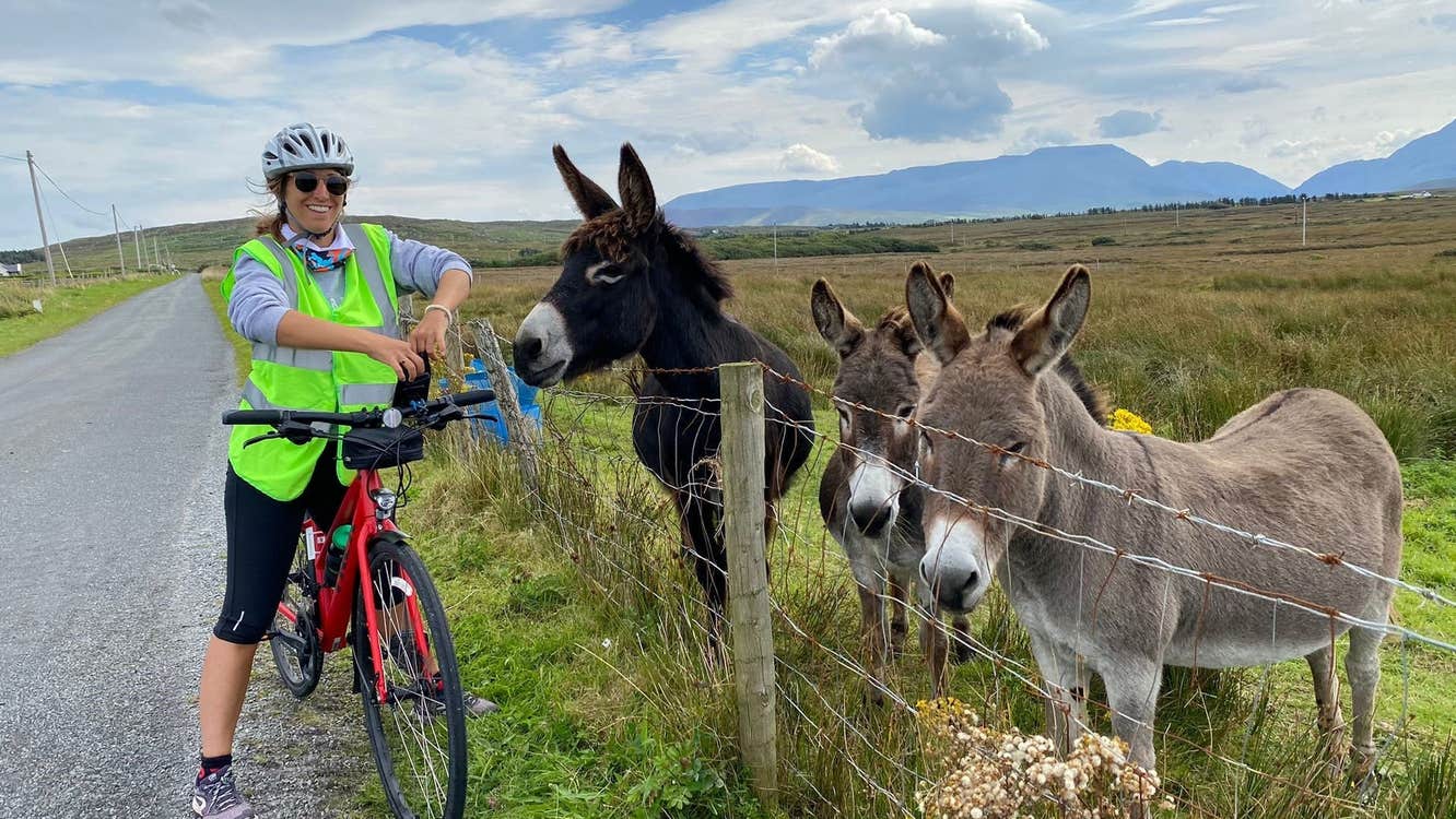 Lady on a bike standing next to two donkeys in a field