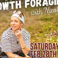 All Shucked Up Festival with Nicole Howth Foraging