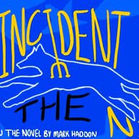 The Curious Incident of the Dog in the Night-Time