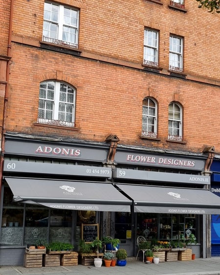 An exterior image of Adonis Flower Designers with plants on display outside the entrance door