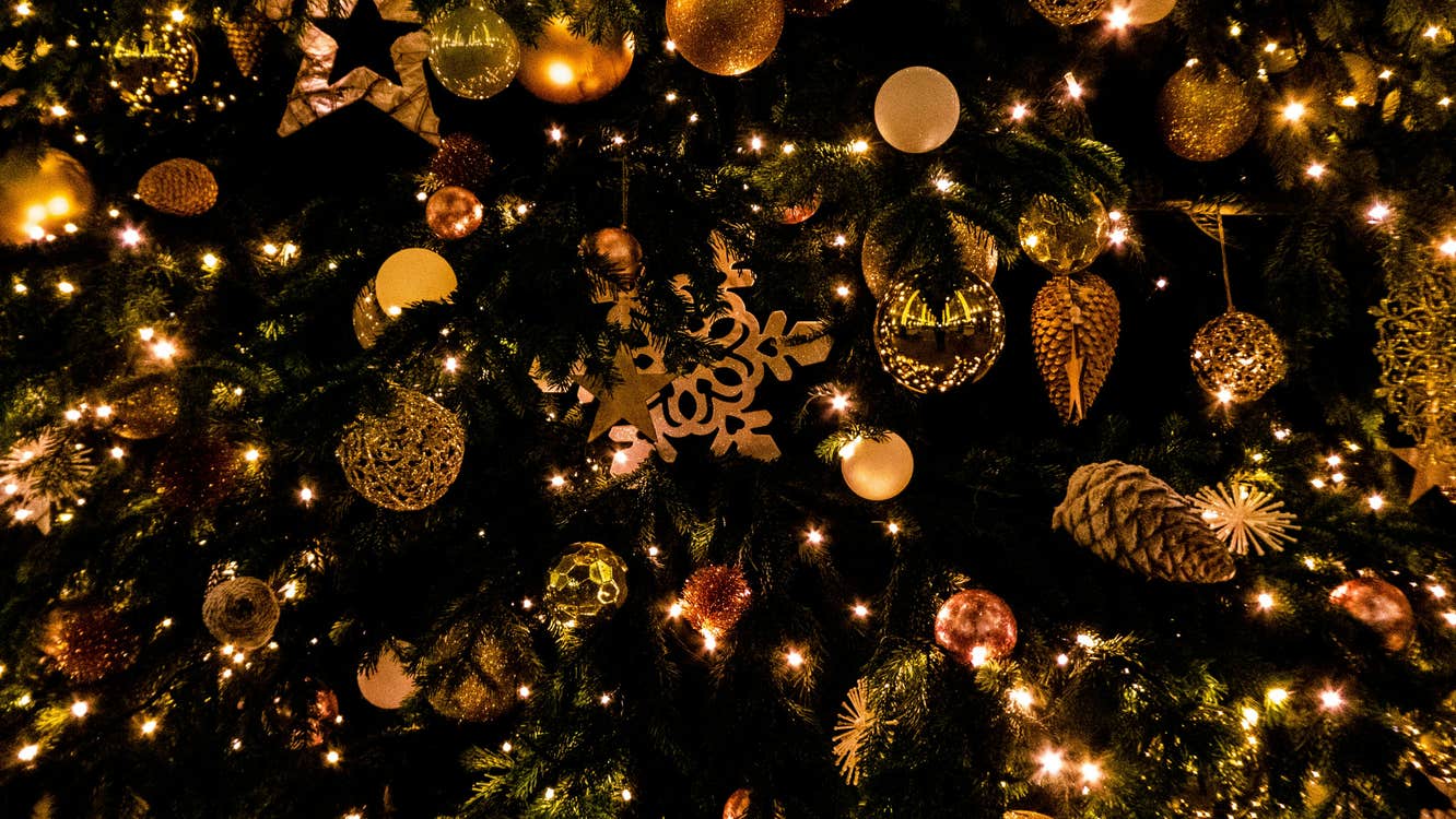 Our Christmas Revue brings together an eclectic line-up of local performers for an easy-going evening in beautiful Russborough. Expect live trad music, piano, guitar and song, alongside poetry – a little bit of everything.
