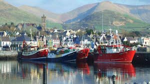 Image of boats at Dingle Harbour