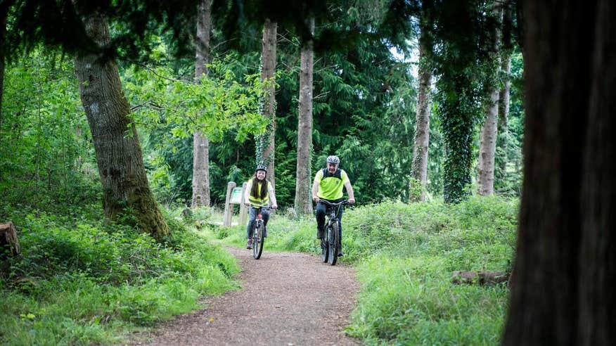 Two people on mountain bikes cycling through Portumna Forest Park in Galway
