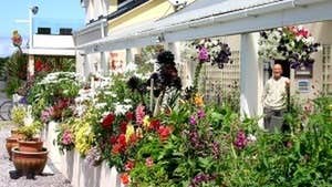 Mannix Point Camping and Caravan Park