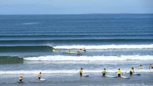 Image of surfers