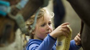 Calliaghstown Riding Centre