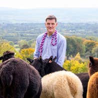 A man standing with alpacas on the K2alpacas farm