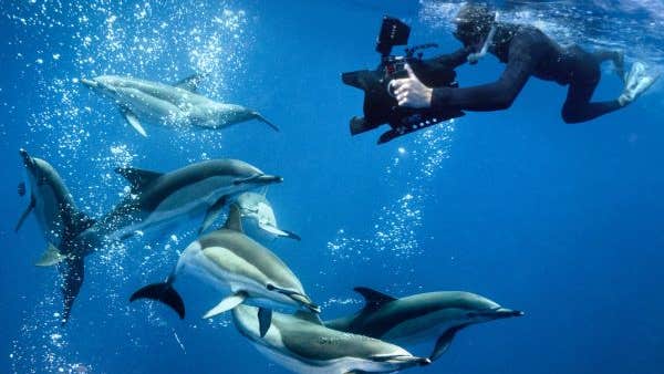 Ken O'Sullivan: Stories from the Sea