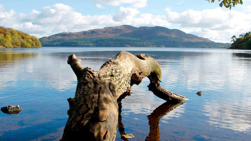 Hazelwood Forest in County Sligo