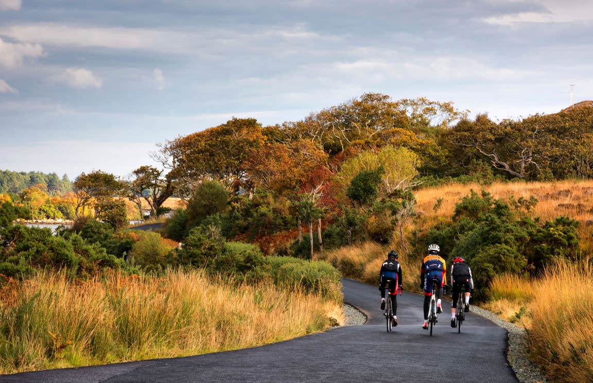 Three cyclists on bikes in Glenveagh National Park on a track lined with trees