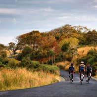 Three cyclists on bikes in Glenveagh National Park on a track lined with trees