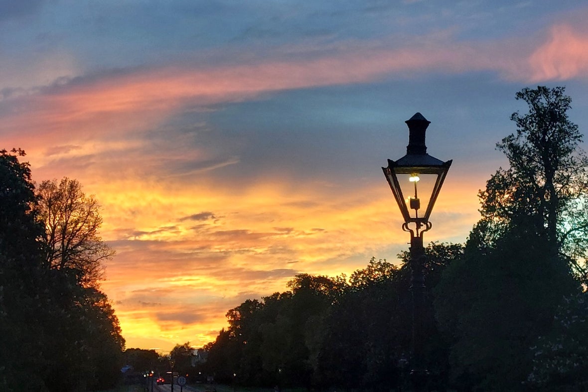 Gas lamps in Phoenix Park at sunset
