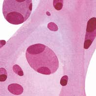 An abstract shape with varying shades of pink on a white background.