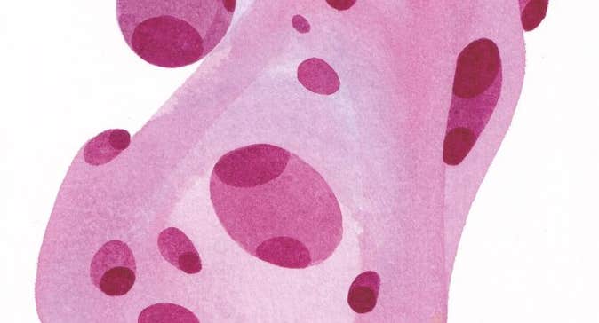 An abstract shape with varying shades of pink on a white background.