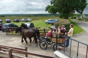 Red Mountain Open Farm, Donore, Meath