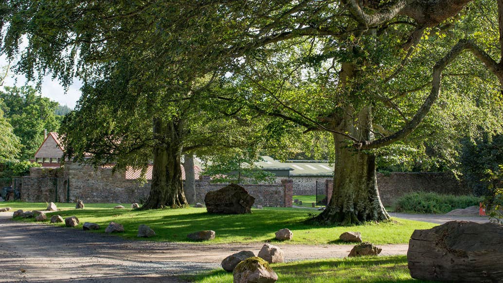 Belmont Demesne Walled Garden