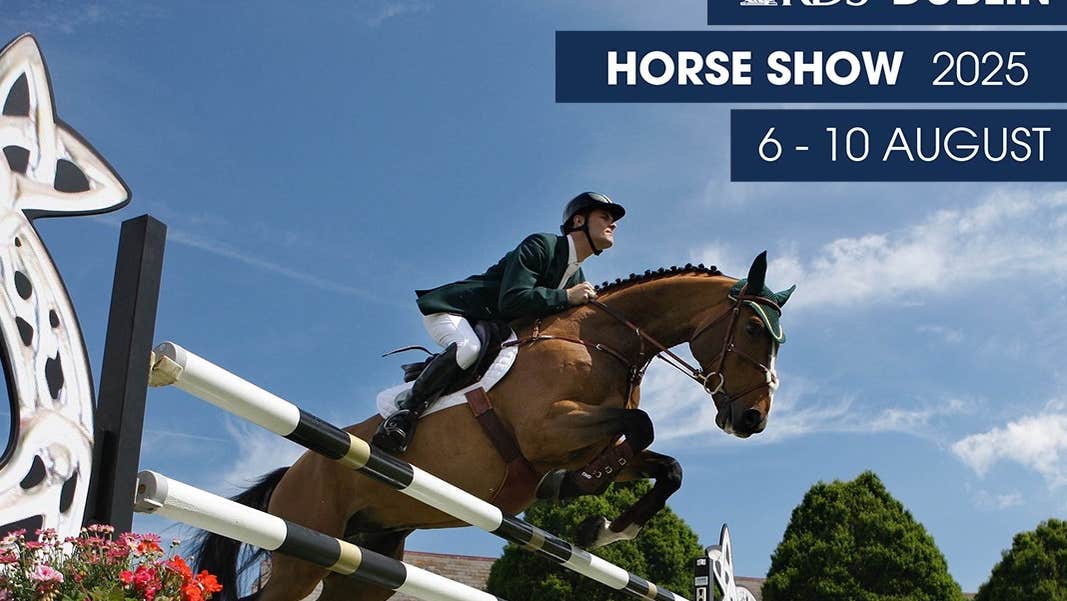 Looking upwards at a horse and rider jumping over white fence against blue sky.